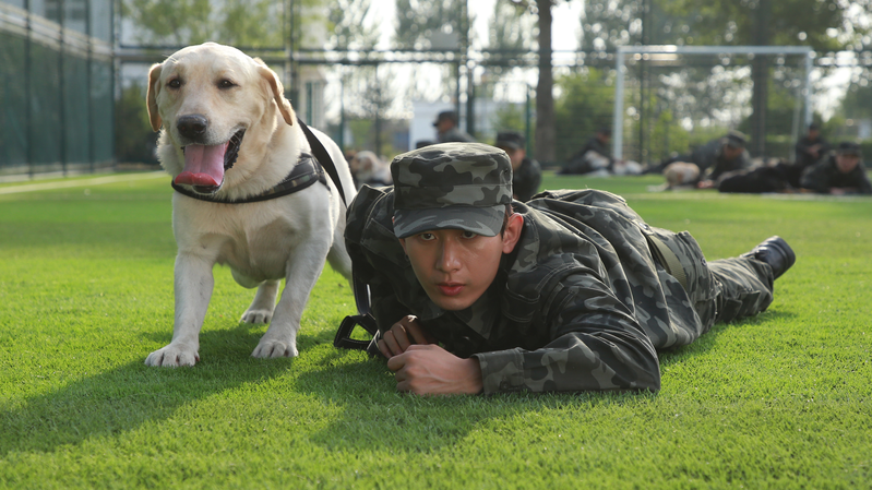 _Year_of_the_Dog__Brings_Family_Friendly_Thrills_to_Valentine_s_Day_Screens