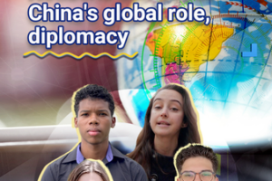 China’s Global Diplomacy: Netizens Probe Principles and Partnerships in 2026 video poster