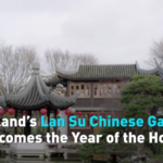 Portland’s Lan Su Garden Celebrates Year of the Horse with Festive Splendor video poster