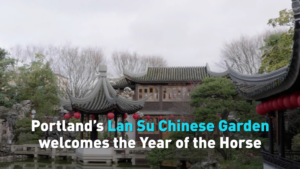 Portland’s Lan Su Garden Celebrates Year of the Horse with Festive Splendor video poster