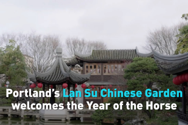 Portland’s Lan Su Garden Celebrates Year of the Horse with Festive Splendor video poster