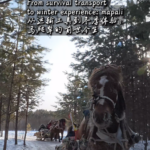 From Survival to Snowscapes: Mohe’s Mapali Sleighs Embrace Tourism in 2026 video poster