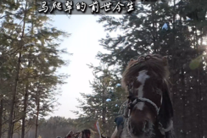 From Survival to Snowscapes: Mohe’s Mapali Sleighs Embrace Tourism in 2026 video poster