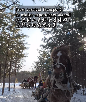 From Survival to Snowscapes: Mohe’s Mapali Sleighs Embrace Tourism in 2026 video poster