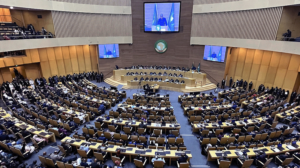 African_Union_Demands_Full_UN_Membership_for_Palestine__Condemns_Occupation