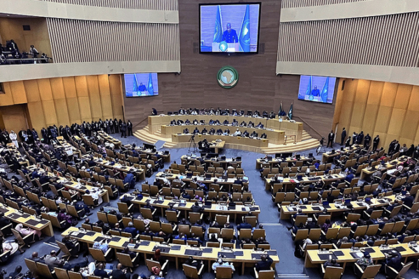 African_Union_Demands_Full_UN_Membership_for_Palestine__Condemns_Occupation