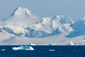 Antarctic_eDNA_Breakthrough_Shields_Polar_Ecosystems_from_Invasive_Species