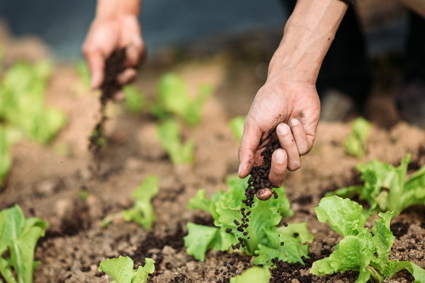 Australian_Breakthrough_Converts_Waste_into_Zero_Carbon_Fertilizer