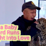 Baby_Leopard_s_Viral_Bond_with_Keeper_Warms_Hearts_Across_Asia_poster - Khabar Asia Baby_Leopard_s_Viral_Bond_with_Keeper_Warms_Hearts_Across_Asia video poster