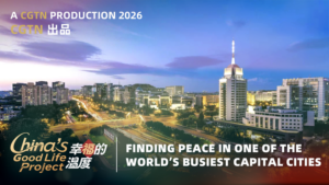 Beijing_Balances_Quiet_Rights_and_Public_Recreation_in_Urban_Dispute video poster