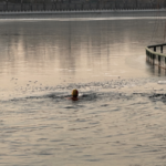 Beijing_Retirees_Defy_Winter_Chill_with_Outdoor_Activities_at_Shichahai