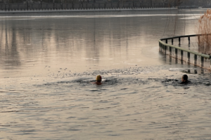 Beijing_Retirees_Defy_Winter_Chill_with_Outdoor_Activities_at_Shichahai