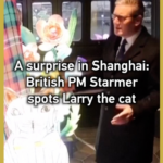 British_PM_Starmer_s_Shanghai_Surprise__Larry_the_Cat_Lantern_Greeting video poster