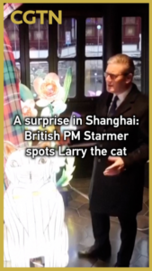 British_PM_Starmer_s_Shanghai_Surprise__Larry_the_Cat_Lantern_Greeting video poster