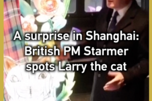 British_PM_Starmer_s_Shanghai_Surprise__Larry_the_Cat_Lantern_Greeting video poster