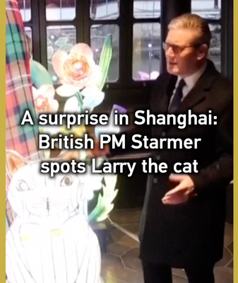 British_PM_Starmer_s_Shanghai_Surprise__Larry_the_Cat_Lantern_Greeting video poster