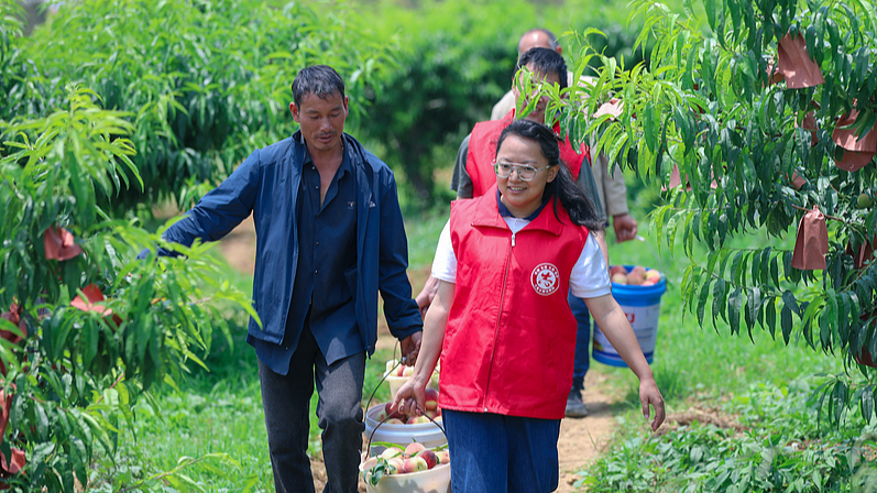CPC_Launches_2026_Campaign_to_Prioritize_Public_Welfare_Through_Action - Khabar Asia CPC_Launches_2026_Campaign_to_Prioritize_Public_Welfare_Through_Action