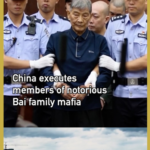 China_Executes_Myanmar_s_Bai_Family_Mafia_Members_in_Cross_Border_Crime_Crackdown video poster