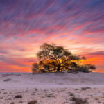 China_Launches_Global_Plant_Genome_Initiative_to_Tackle_Food_Security__Biodiversity