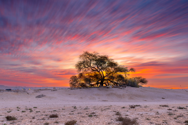 China_Launches_Global_Plant_Genome_Initiative_to_Tackle_Food_Security__Biodiversity