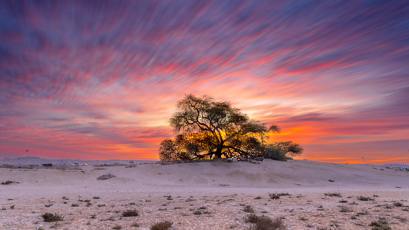 China_Launches_Global_Plant_Genome_Initiative_to_Tackle_Food_Security__Biodiversity