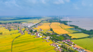 China_Prioritizes_Rural_Revitalization_in_2026_Policy_Blueprint