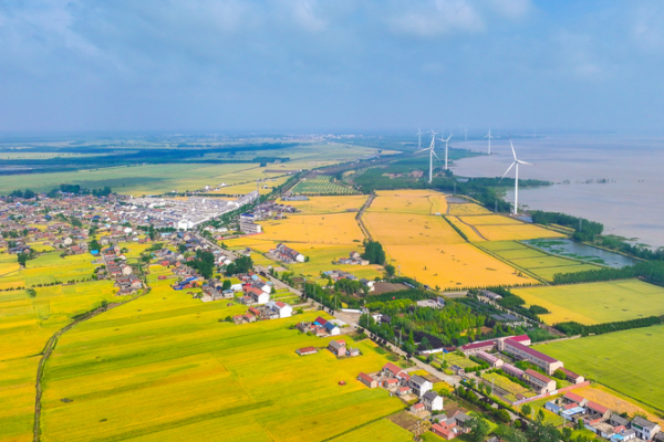 China_Prioritizes_Rural_Revitalization_in_2026_Policy_Blueprint