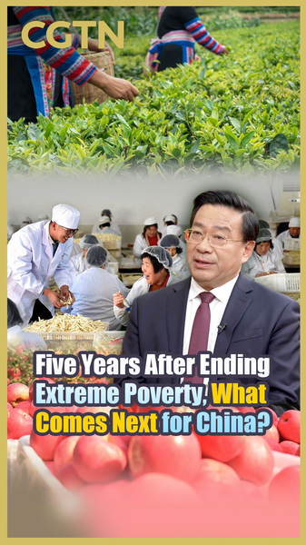China_Shifts_Focus_to_Rural_Revitalization_After_Poverty_Eradication_Milestone video poster