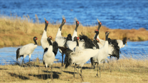 China_Strengthens_Nature_Reserve_Laws_for_Sustainable_Future