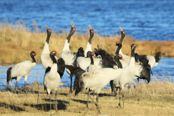 China_Strengthens_Nature_Reserve_Laws_for_Sustainable_Future