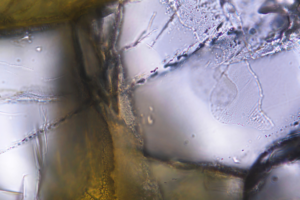 China_Uncovers_Natural_Hydrogen_Reserves_in_Qinghai_Xizang_Plateau__Boosting_Clean_Energy_Hopes