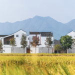 China_Unveils_2026_Rural_Development_Strategy__Experts_Weigh_In video poster