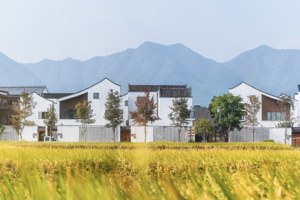 China_Unveils_2026_Rural_Development_Strategy__Experts_Weigh_In video poster