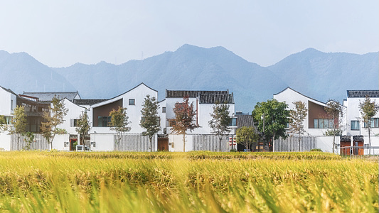 China_Unveils_2026_Rural_Development_Strategy__Experts_Weigh_In video poster