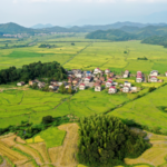China_Unveils_2026_Rural_Revitalization_Blueprint_for_Agricultural_Modernization