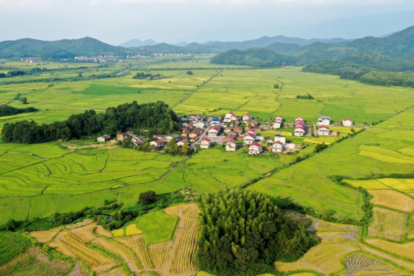 China_Unveils_2026_Rural_Revitalization_Blueprint_for_Agricultural_Modernization