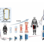 China_Unveils_Lightweight__Growable__Robot_for_Future_Homes