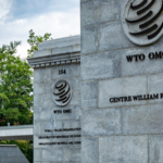 China_Wins_WTO_Case_Against_U_S__Green_Energy_Subsidies__Key_Takeaways