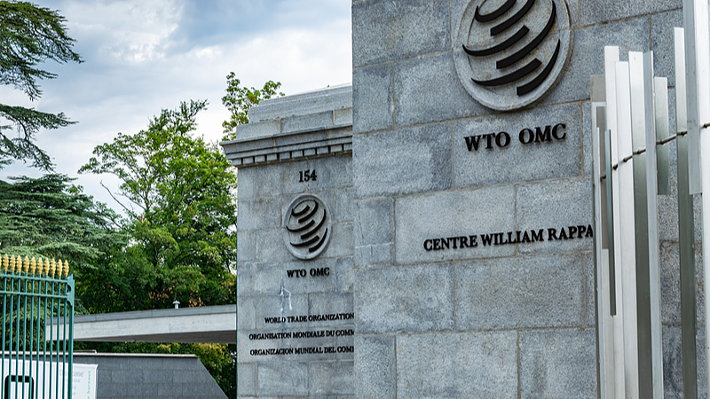 China_Wins_WTO_Case_Against_U_S__Green_Energy_Subsidies__Key_Takeaways