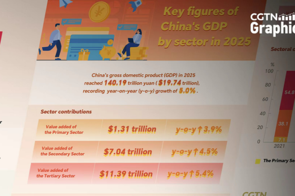China_s_2025_GDP_Hits__19_74_Trillion_with_Services_Sector_Dominating