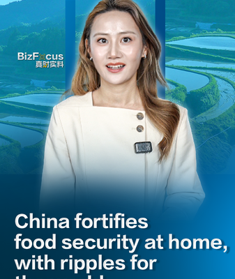 China_s_2026_Agricultural_Push_Aims_to_Strengthen_Global_Food_Security video poster