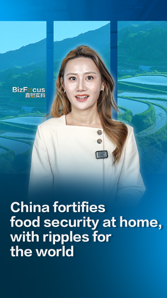 China_s_2026_Agricultural_Push_Aims_to_Strengthen_Global_Food_Security video poster