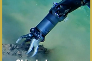 China_s_Jiaolong_Submersible_Marks_New_Era_in_Deep_Sea_Exploration video poster