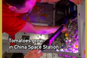 China_s_Space_Station_Harvests_Tomatoes_in_Zero_Gravity_Experiment video poster