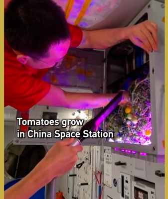 China_s_Space_Station_Harvests_Tomatoes_in_Zero_Gravity_Experiment video poster