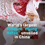China_s__Sugar_King__Unveils_World_s_Largest_Fondant_Sculpture_for_Year_of_the_Horse video poster