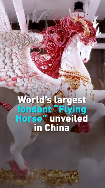 China_s__Sugar_King__Unveils_World_s_Largest_Fondant_Sculpture_for_Year_of_the_Horse video poster
