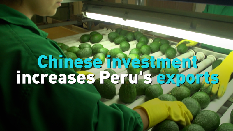 Chinese_Investment_Fuels_Peru_s_Export_Surge_in_2025 video poster