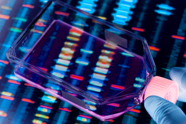 Chinese_Led_Study_Uses_Gene_Editing_to_Reverse_Autism_Linked_Behaviors_in_Mice