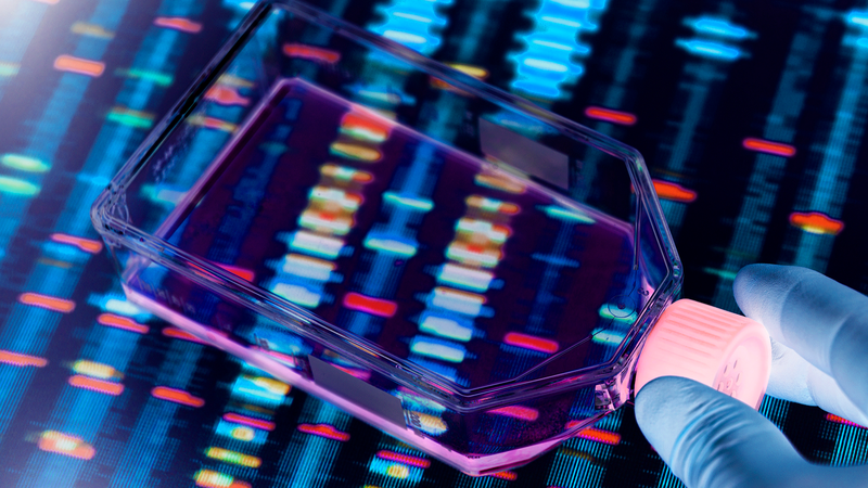 Chinese_Led_Study_Uses_Gene_Editing_to_Reverse_Autism_Linked_Behaviors_in_Mice - Khabar Asia Chinese_Led_Study_Uses_Gene_Editing_to_Reverse_Autism_Linked_Behaviors_in_Mice